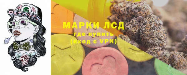 сатива Зеленокумск