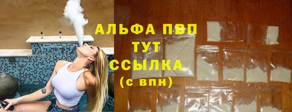 сатива Зерноград